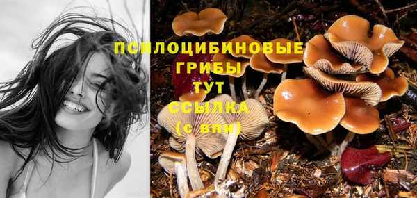 mdma Горняк