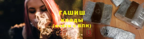 тгк Гусев