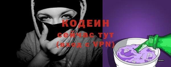 тгк Гусев