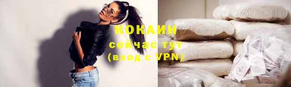 тгк Гусев