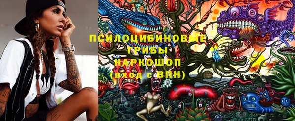 стафф Домодедово