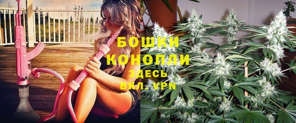 тгк Гусев