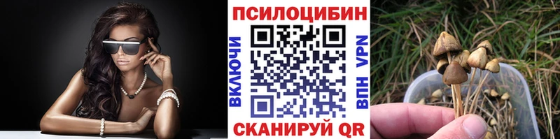 закладка  Дмитровск  Псилоцибиновые грибы мицелий 